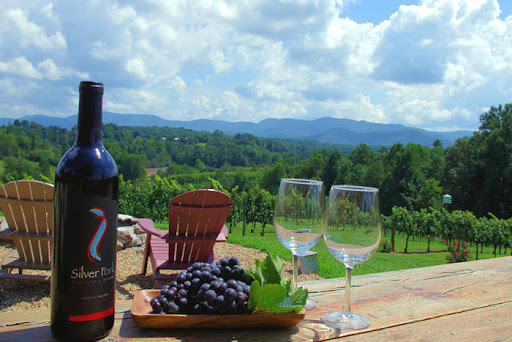 Things to look forward to planning for wine tours in wineries